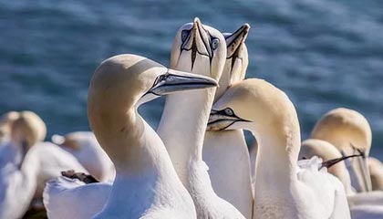 世界杯高清直播地址-U23国脚：争取下次拿个冠军回来